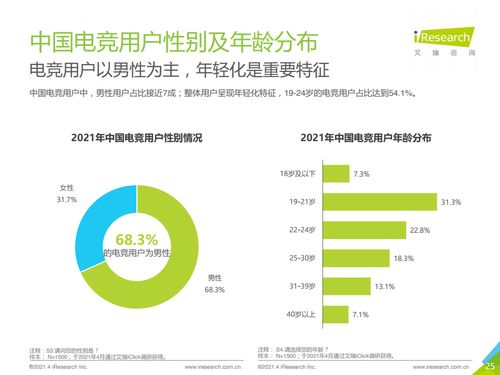 《2021年中國電競行業(yè)研究報告》技術(shù)交流與未來展望